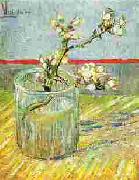 Vincent Van Gogh Blooming Almond Stem in a Glass China oil painting reproduction